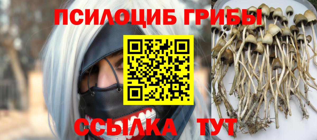 Псилоцибиновые грибы ЛСД Прохладный
